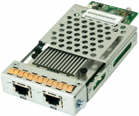 Адаптер Infortrend RER10G0HIO2-0010 Host board with 2x10Gb iSCSI RJ-45 ports 