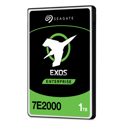 Seagate Exos 7E2000 ST1000NX0313 